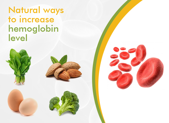 hemoglobin-jpg_19454782_[1]